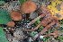  ( - BGE_00482_H07)  @11 [ ] Copyright (2024) Luciano Michelin None