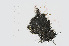  ( - L.3960386)  @11 [ ] CreativeCommons - Attribution Non-Commercial Share-Alike (2016) Unspecified Naturalis Biodiversity Center