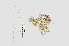  ( - L.3960130)  @11 [ ] CreativeCommons - Attribution Non-Commercial Share-Alike (2016) Unspecified Naturalis Biodiversity Center