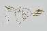  ( - L.3960228)  @11 [ ] CreativeCommons - Attribution Non-Commercial Share-Alike (2016) Unspecified Naturalis Biodiversity Center