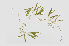  ( - L.3960061)  @11 [ ] CreativeCommons - Attribution Non-Commercial Share-Alike (2016) Unspecified Naturalis Biodiversity Center