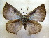  ( - MLIB-1614)  @12 [ ] CreativeCommons - Attribution (2015) Michel Libert Centre for Biodiversity Genomics