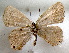  ( - MLIB-1669)  @11 [ ] CreativeCommons - Attribution (2015) Michel Libert Centre for Biodiversity Genomics