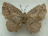  ( - MLIB-1694)  @13 [ ] CreativeCommons - Attribution (2015) Michel Libert Centre for Biodiversity Genomics