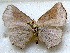  ( - MLIB-1706)  @12 [ ] CreativeCommons - Attribution (2015) Michel Libert Centre for Biodiversity Genomics