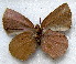  ( - MLIB-1708)  @12 [ ] CreativeCommons - Attribution (2015) Michel Libert Centre for Biodiversity Genomics