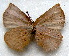  ( - MLIB-1709)  @12 [ ] CreativeCommons - Attribution (2015) Michel Libert Centre for Biodiversity Genomics
