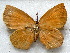  ( - MLIB-1711)  @13 [ ] CreativeCommons - Attribution (2015) Michel Libert Centre for Biodiversity Genomics