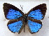  ( - MLIB-1765)  @14 [ ] CreativeCommons - Attribution (2015) Michel Libert Centre for Biodiversity Genomics