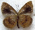  ( - MLIB-1841)  @12 [ ] CreativeCommons - Attribution (2015) Michel Libert Centre for Biodiversity Genomics