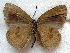  ( - MLIB-1843)  @14 [ ] CreativeCommons - Attribution (2015) Michel Libert Centre for Biodiversity Genomics