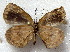  ( - MLIB-1846)  @12 [ ] CreativeCommons - Attribution (2015) Michel Libert Centre for Biodiversity Genomics