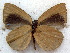  ( - MLIB-1862)  @11 [ ] CreativeCommons - Attribution (2015) Michel Libert Centre for Biodiversity Genomics