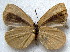  ( - MLIB-1870)  @13 [ ] CreativeCommons - Attribution (2015) Michel Libert Centre for Biodiversity Genomics