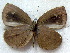  ( - MLIB-1872)  @13 [ ] CreativeCommons - Attribution (2015) Michel Libert Centre for Biodiversity Genomics