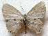  ( - MLIB-1887)  @12 [ ] CreativeCommons - Attribution (2015) Michel Libert Centre for Biodiversity Genomics