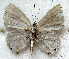  ( - MLIB-1892)  @12 [ ] CreativeCommons - Attribution (2015) Michel Libert Centre for Biodiversity Genomics