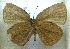  ( - MLIB-1932)  @11 [ ] CreativeCommons - Attribution (2016) Michel Libert Centre for Biodiversity Genomics