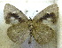  ( - MLIB-1938)  @13 [ ] CreativeCommons - Attribution (2016) Michel Libert Centre for Biodiversity Genomics