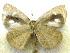  ( - MLIB-1940)  @12 [ ] CreativeCommons - Attribution (2016) Michel Libert Centre for Biodiversity Genomics