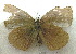  ( - MLIB-1973)  @12 [ ] CreativeCommons - Attribution (2016) Michel Libert Centre for Biodiversity Genomics