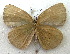  ( - MLIB-1978)  @12 [ ] CreativeCommons - Attribution (2016) Michel Libert Centre for Biodiversity Genomics