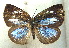  ( - MLIB-1990)  @12 [ ] CreativeCommons - Attribution (2016) Michel Libert Centre for Biodiversity Genomics