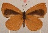  ( - MLIB-2001)  @11 [ ] CreativeCommons - Attribution Non-Commercial Share-Alike (2017) Michel Libert Centre for Biodiversity Genomics