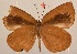  ( - MLIB-2003)  @13 [ ] CreativeCommons - Attribution Non-Commercial Share-Alike (2017) Michel Libert Centre for Biodiversity Genomics