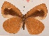  ( - MLIB-2006)  @14 [ ] CreativeCommons - Attribution Non-Commercial Share-Alike (2017) Michel Libert Centre for Biodiversity Genomics