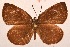  ( - MLIB-2011)  @12 [ ] CreativeCommons - Attribution Non-Commercial Share-Alike (2017) Michel Libert Centre for Biodiversity Genomics