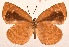  ( - MLIB-2011)  @12 [ ] CreativeCommons - Attribution Non-Commercial Share-Alike (2017) Michel Libert Centre for Biodiversity Genomics