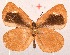  ( - MLIB-2014)  @12 [ ] CreativeCommons - Attribution Non-Commercial Share-Alike (2017) Michel Libert Centre for Biodiversity Genomics