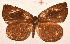  ( - MLIB-2015)  @12 [ ] CreativeCommons - Attribution Non-Commercial Share-Alike (2017) Michel Libert Centre for Biodiversity Genomics