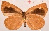  ( - MLIB-2015)  @12 [ ] CreativeCommons - Attribution Non-Commercial Share-Alike (2017) Michel Libert Centre for Biodiversity Genomics
