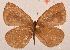  ( - MLIB-2016)  @13 [ ] CreativeCommons - Attribution Non-Commercial Share-Alike (2017) Michel Libert Centre for Biodiversity Genomics