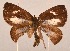  ( - MLIB-2028)  @12 [ ] CreativeCommons - Attribution Non-Commercial Share-Alike (2017) Michel Libert Centre for Biodiversity Genomics