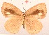  ( - MLIB-2035)  @13 [ ] CreativeCommons - Attribution Non-Commercial Share-Alike (2017) Michel Libert Centre for Biodiversity Genomics