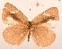  ( - MLIB-2037)  @11 [ ] CreativeCommons - Attribution Non-Commercial Share-Alike (2017) Michel Libert Centre for Biodiversity Genomics