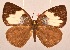  ( - MLIB-2042)  @14 [ ] CreativeCommons - Attribution Non-Commercial Share-Alike (2017) Michel Libert Centre for Biodiversity Genomics