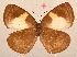  ( - MLIB-2045)  @13 [ ] CreativeCommons - Attribution Non-Commercial Share-Alike (2017) Michel Libert Centre for Biodiversity Genomics