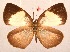  ( - MLIB-2046)  @14 [ ] CreativeCommons - Attribution Non-Commercial Share-Alike (2017) Michel Libert Centre for Biodiversity Genomics