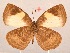  ( - MLIB-2046)  @13 [ ] CreativeCommons - Attribution Non-Commercial Share-Alike (2017) Michel Libert Centre for Biodiversity Genomics