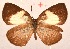  ( - MLIB-2048)  @13 [ ] CreativeCommons - Attribution Non-Commercial Share-Alike (2017) Michel Libert Centre for Biodiversity Genomics