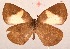  ( - MLIB-2048)  @13 [ ] CreativeCommons - Attribution Non-Commercial Share-Alike (2017) Michel Libert Centre for Biodiversity Genomics