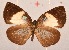  ( - MLIB-2057)  @13 [ ] CreativeCommons - Attribution Non-Commercial Share-Alike (2017) Michel Libert Centre for Biodiversity Genomics