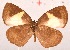  ( - MLIB-2057)  @13 [ ] CreativeCommons - Attribution Non-Commercial Share-Alike (2017) Michel Libert Centre for Biodiversity Genomics
