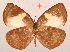  ( - MLIB-2067)  @13 [ ] CreativeCommons - Attribution Non-Commercial Share-Alike (2017) Michel Libert Centre for Biodiversity Genomics