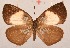  ( - MLIB-2068)  @14 [ ] CreativeCommons - Attribution Non-Commercial Share-Alike (2017) Michel Libert Centre for Biodiversity Genomics