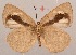  ( - MLIB-2084)  @13 [ ] CreativeCommons - Attribution Non-Commercial Share-Alike (2017) Michel Libert Centre for Biodiversity Genomics